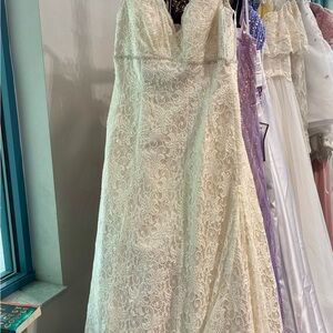 David’s Bridal Size 8 Champagne Lace Wedding Dress Beaded Empire Waist Boho Gown